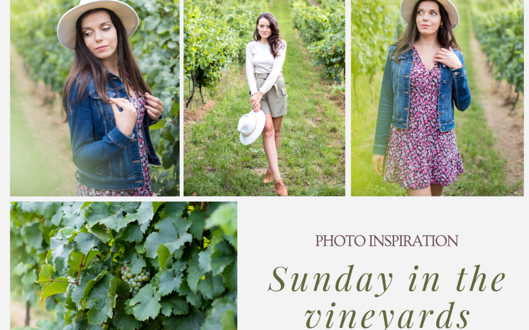 Sunday in the vineyards